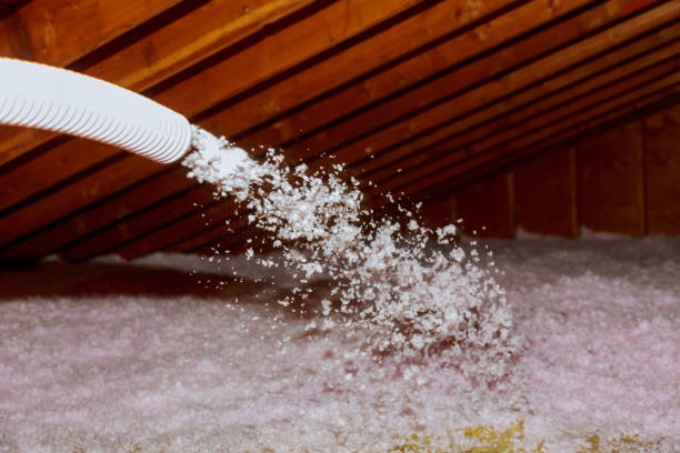Best Spray Foam Insulation in Ronceverte, WV